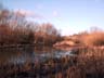 billingham beck ecology park pond